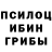Канабис сатива Sasha Khyshuk