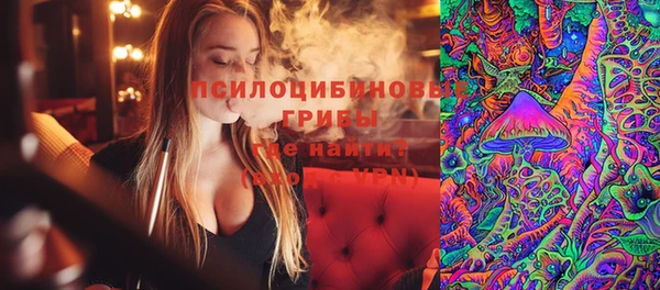 стафф Медвежьегорск