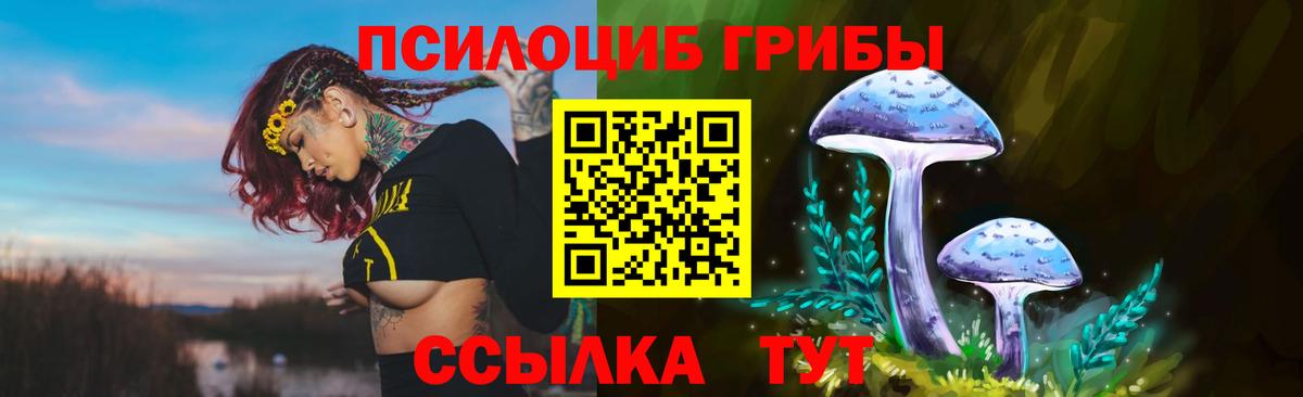 магазин  наркотиков  Вход с VPN  Родники  Галлюциногенные грибы прущие грибы 