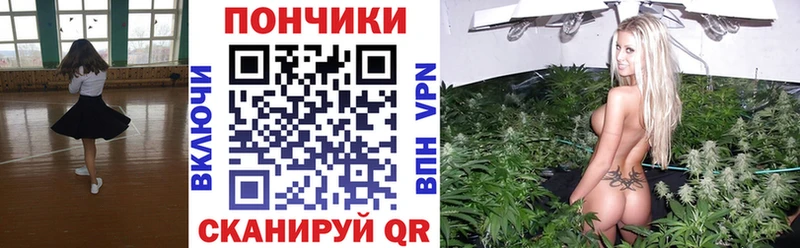 darknet наркотические препараты  Родники  МАРИХУАНА индика 